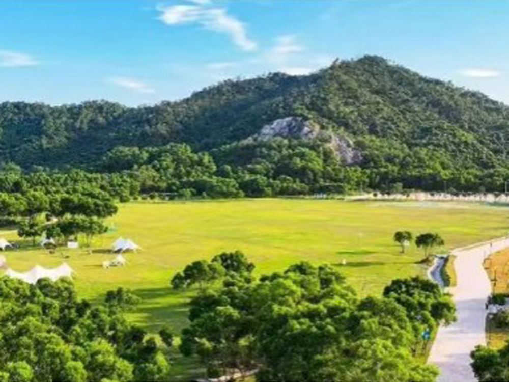 珠海淇澳岛营地