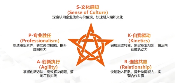 企业新员工培训—企业团队拓展培训-腾睿团建